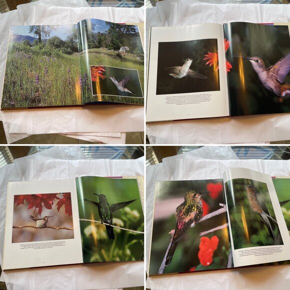 Hummingbirds Photographs Book by Scott Weidensaul - Picture 9 of 12